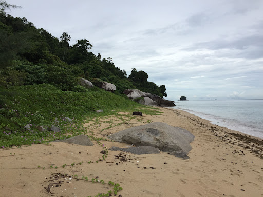 Sarapan Pagi Terbaik di Kampung Tekek 1 Pantai Kampung Tekek