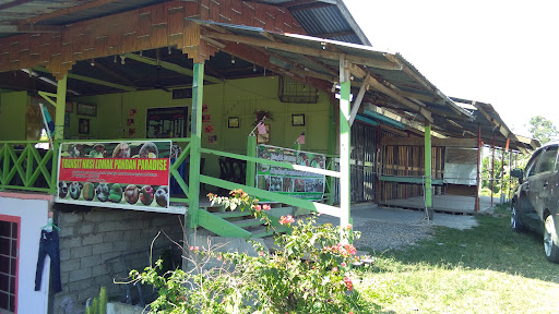 Transit Nasi lemak Pandan Paradise